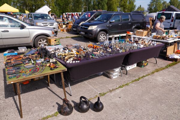 Sulle-Mulle laat 2025 Tartus Raadil