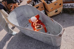 Sulle-Mulle laat 2025 Tartus Raadil