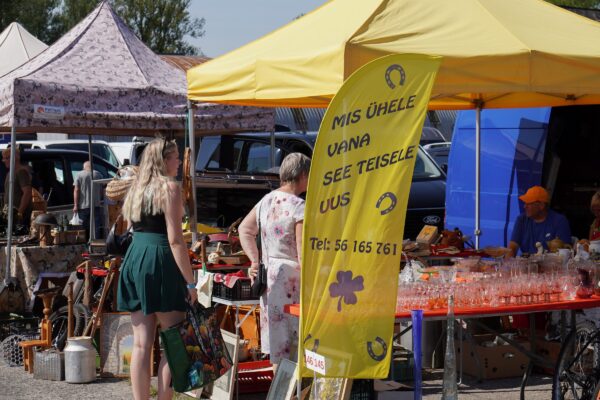 Sulle-Mulle laat 2025 Tartus Raadil